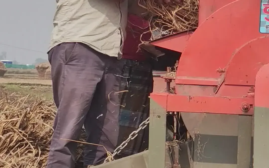 Plastic Shredder Machine Price​ Overview